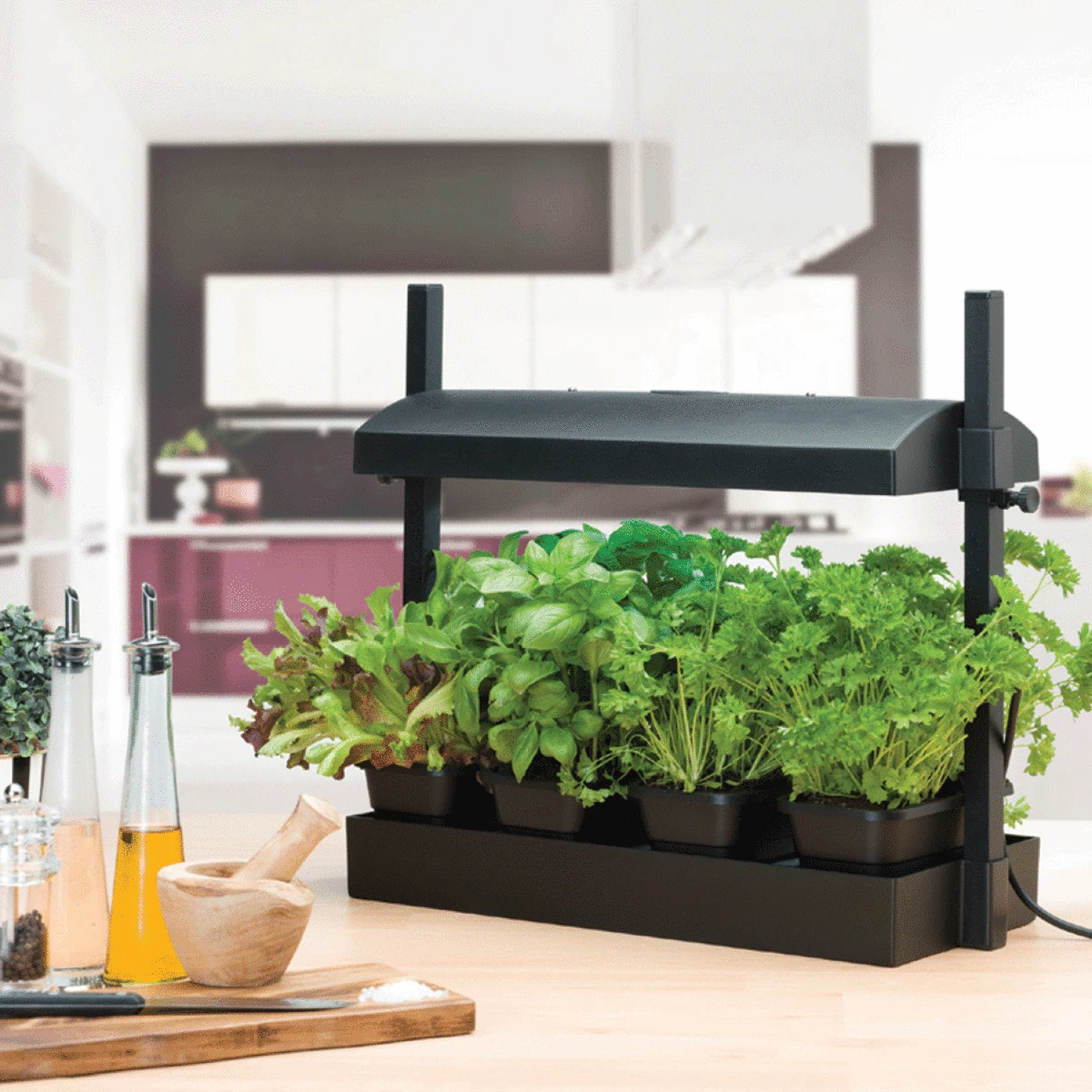 Garland Micro Grow Garden Light - Black 3 Garland Micro Grow Garden Light - Black - Image 3