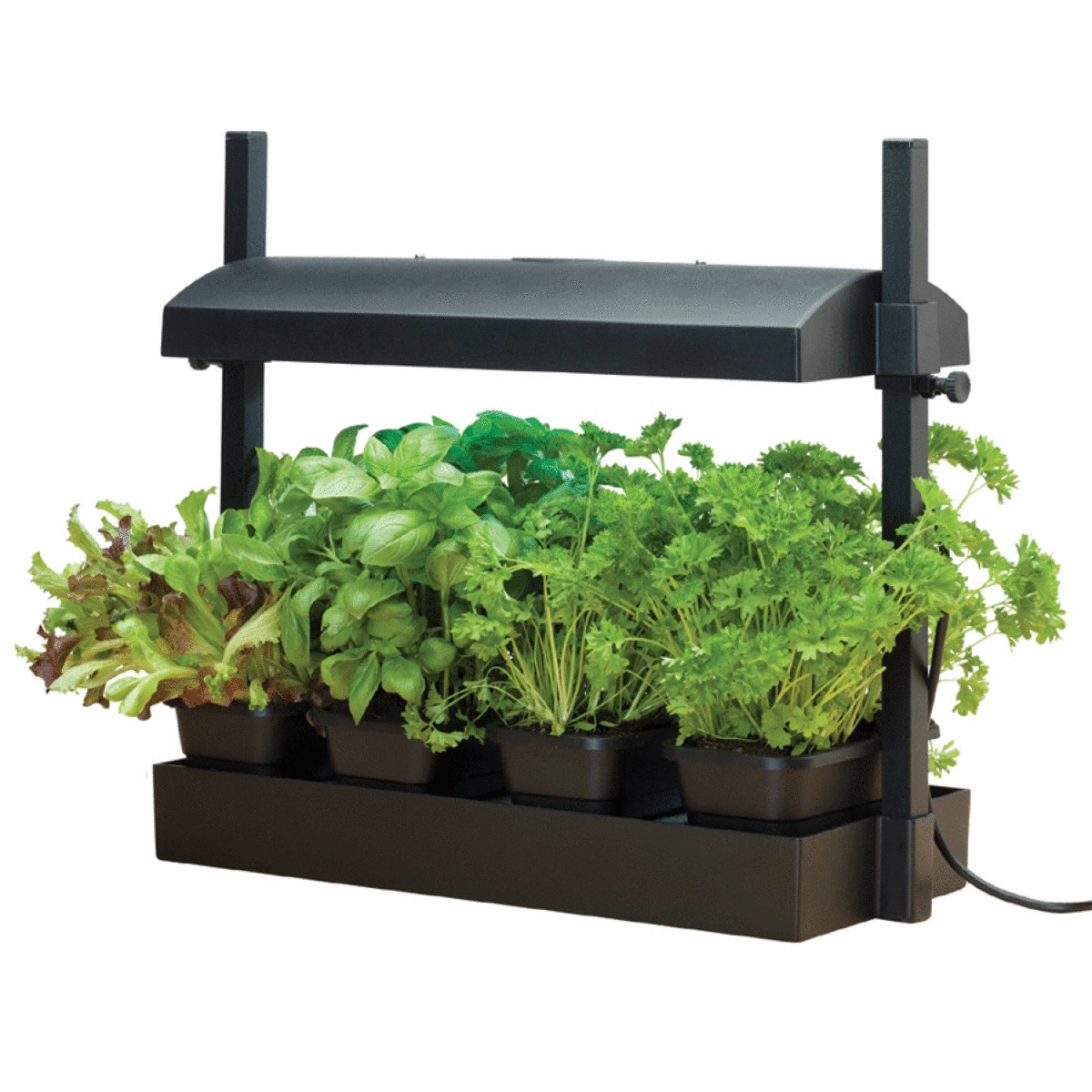 Garland Micro Grow Garden Light - Black 5 Garland Micro Grow Garden Light - Black - Image 5