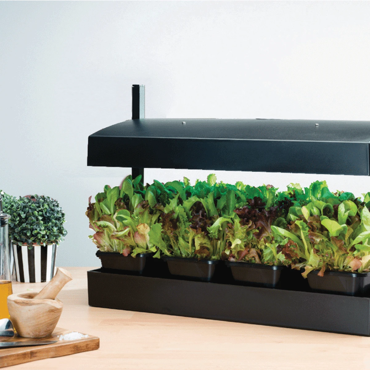 Garland Grow Garden Light - Black 3 Garland Grow Garden Light - Black - Image 3