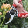 Darlac Professional Pruner