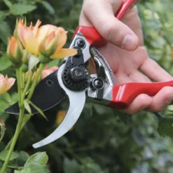 Darlac Professional Pruner