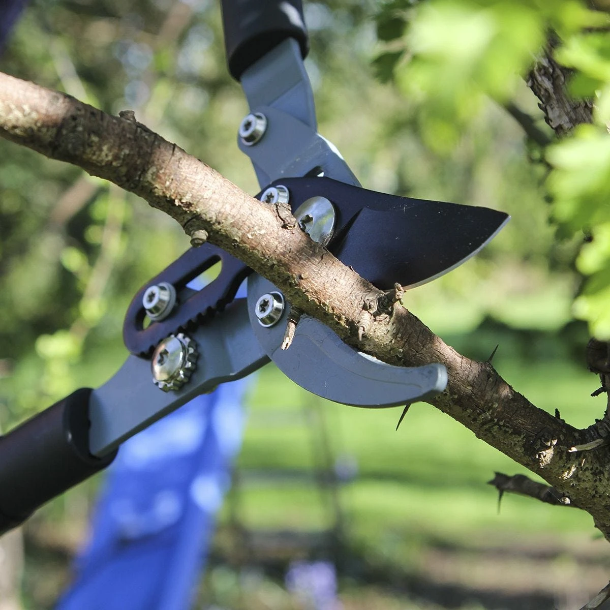 Darlac Telescopic Bypass Lopper 2 Darlac Telescopic Bypass Lopper - Image 2