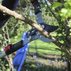 Darlac Telescopic Bypass Lopper
