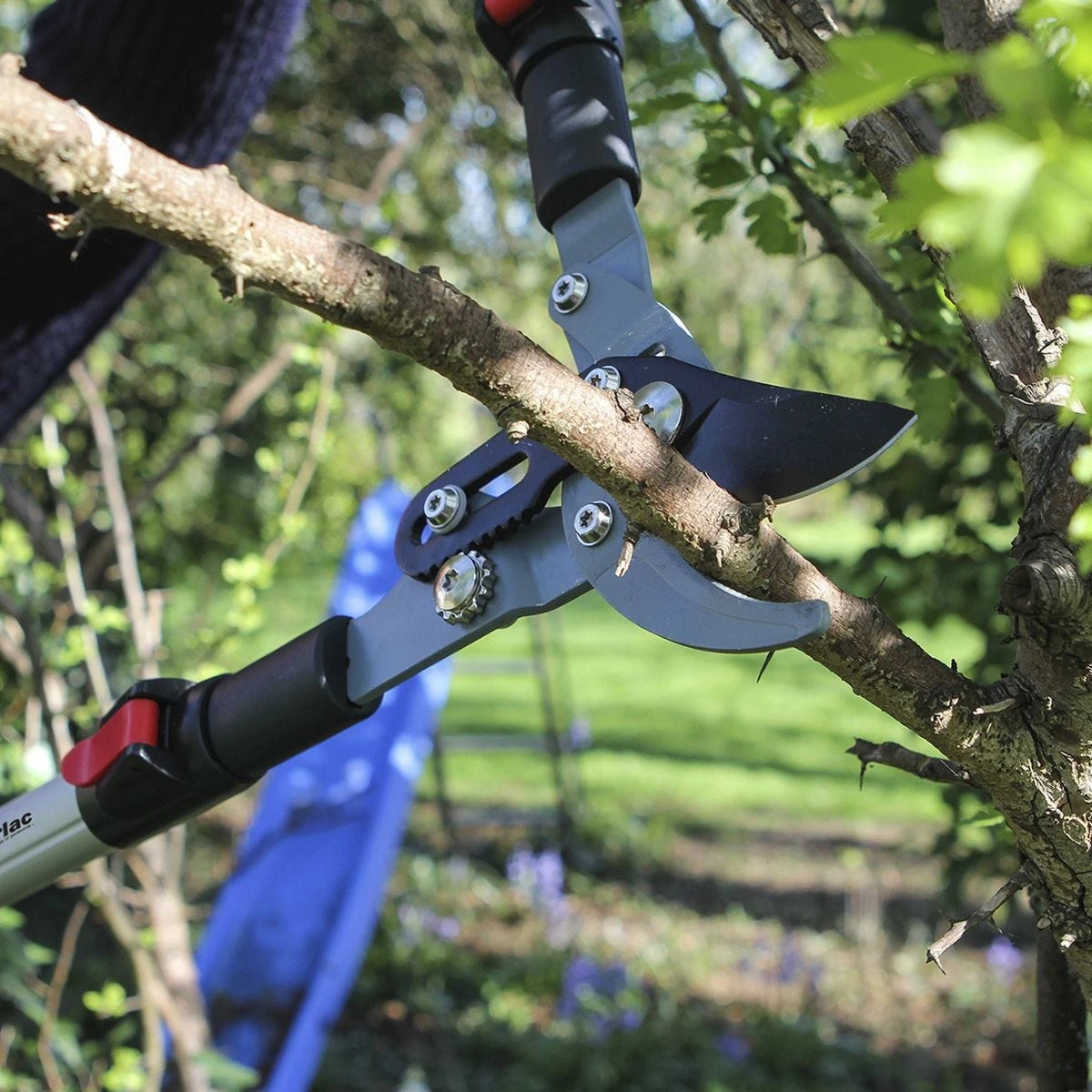 Darlac Telescopic Bypass Lopper 1 Darlac Telescopic Bypass Lopper