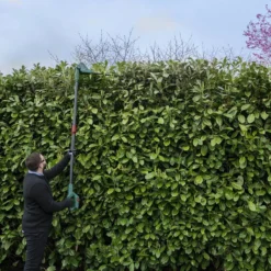 Webb 20V Long Reach Hedge Trimmer With Battery & Charger -Garden Tools Shop 234843 06