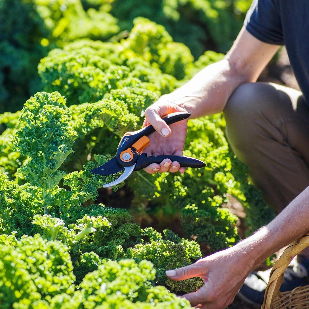 Fiskars SmartFit Pruner Bypass P68 4 Fiskars SmartFit Pruner Bypass P68 - Image 4