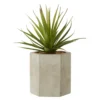 Sword Grass Ceramic Pot - Grey
