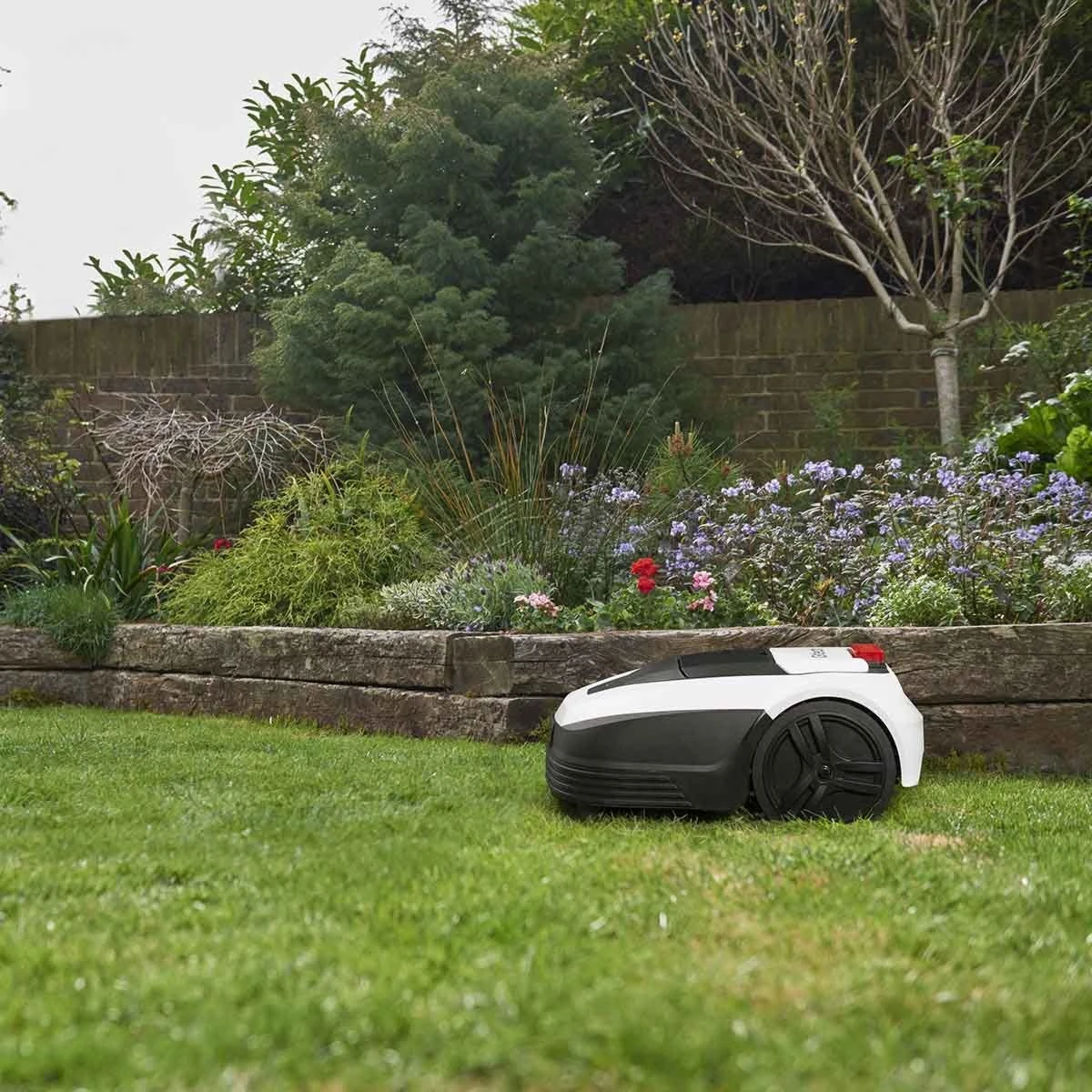 Gtech RLM50 Robot Lawnmower 5 Gtech RLM50 Robot Lawnmower - Image 5