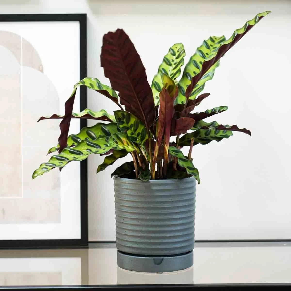 Bespoke Luna Stoneware Planter & Saucer Grey H20CM D18CM 1 Bespoke Luna Stoneware Planter & Saucer Grey H20CM D18CM