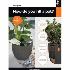 Capi Europe Ball Planter Row NL 54x52 - Black 12 Capi Europe Ball Planter Row NL 54x52 - Black -Garden Tools Shop 277593 4