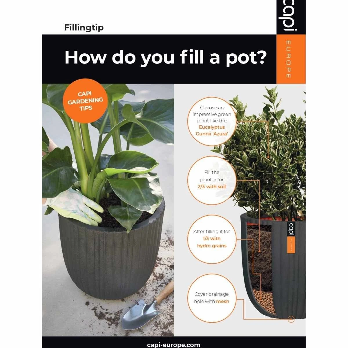 Capi Europe Ball Planter Row NL 54x52 - Black 4 Capi Europe Ball Planter Row NL 54x52 - Black - Image 4