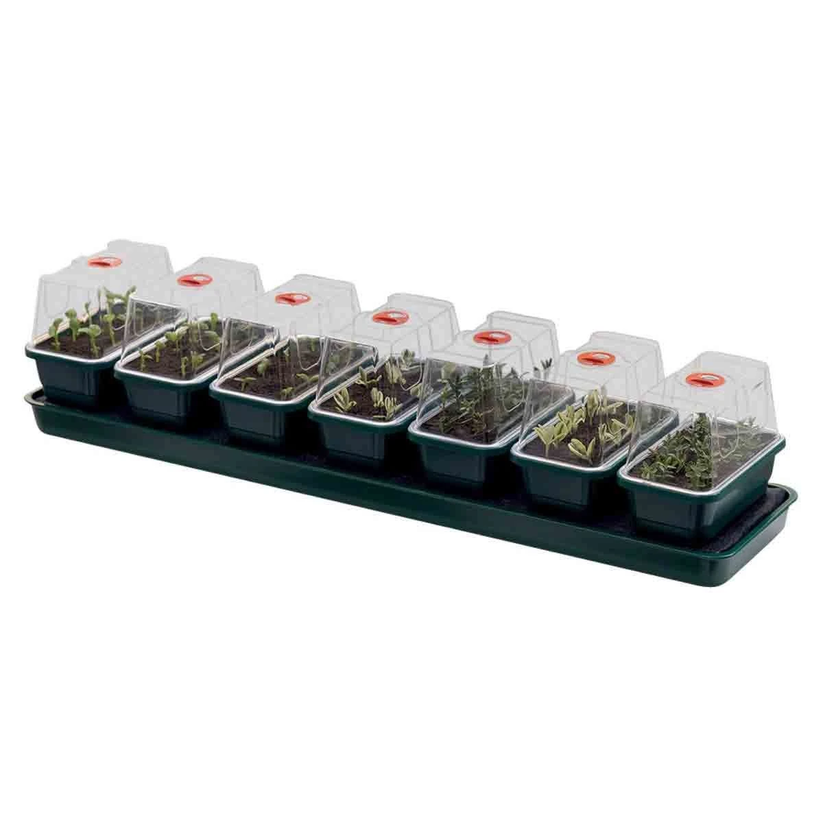Garland Super 7 Self Watering Propagator 1 Garland Super 7 Self Watering Propagator