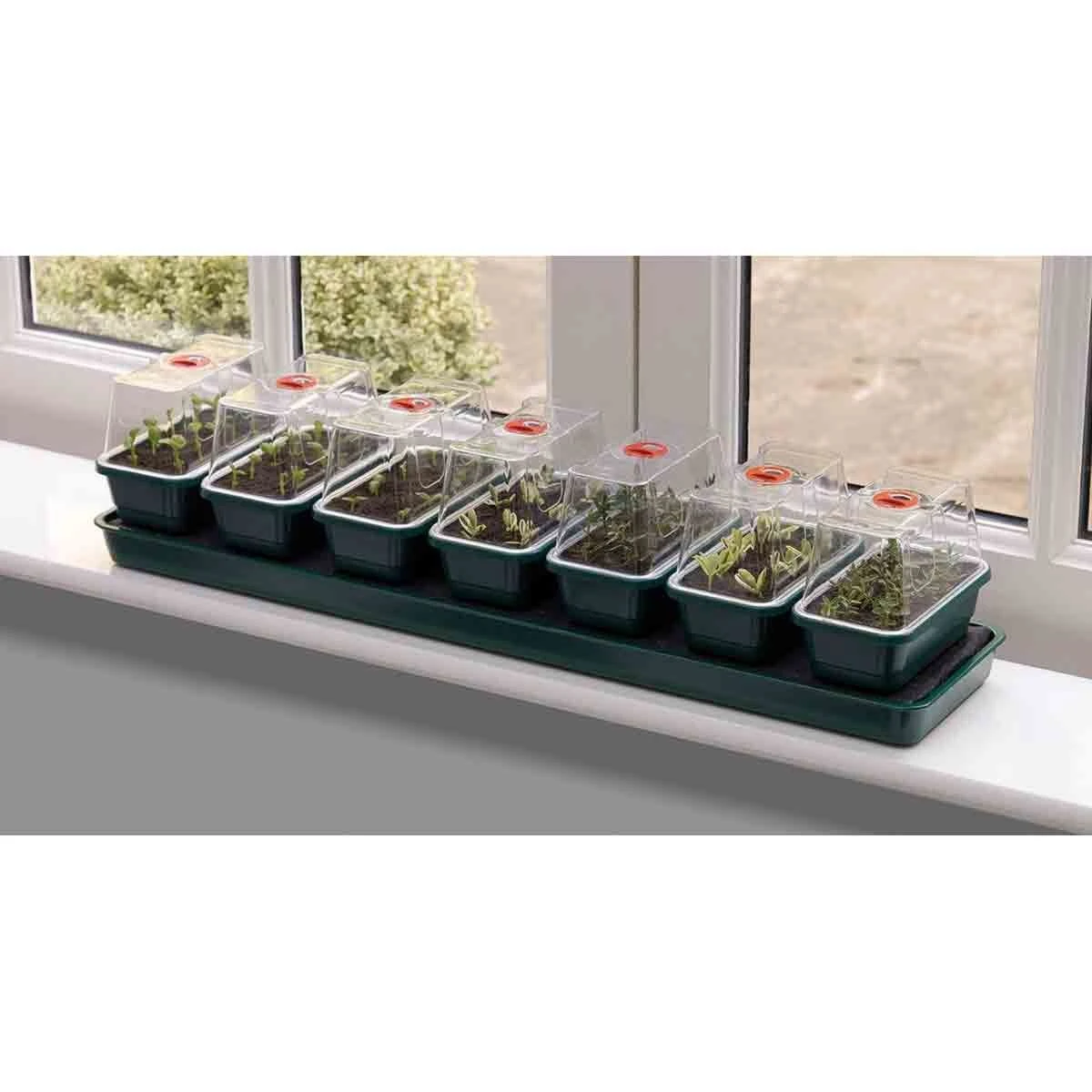 Garland Super 7 Self Watering Propagator 3 Garland Super 7 Self Watering Propagator - Image 3