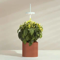 Pret A Pousser Nano Garden Terracotta With 1 Basil Pod