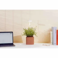 Pret A Pousser Nano Garden Terracotta With 1 Basil Pod -Garden Tools Shop 299375 5