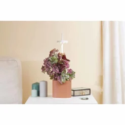 Pret A Pousser Nano Garden Terracotta With 1 Basil Pod -Garden Tools Shop 299375 6