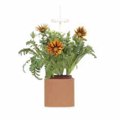 Pret A Pousser Nano Garden Terracotta With 1 Basil Pod -Garden Tools Shop 299375 9