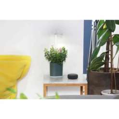 Pret A Pousser Nano Garden Forest Green With 1 Coleus Pod -Garden Tools Shop 299376 4