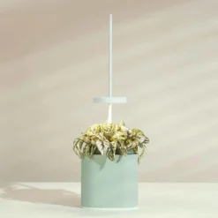 Pret A Pousser Nano Garden Celadon Green With 1 Polka Dot Plant Pod -Garden Tools Shop 299377 3