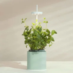 Pret A Pousser Nano Garden Celadon Green With 1 Polka Dot Plant Pod -Garden Tools Shop 299377 4