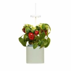 Pret A Pousser Nano Garden Celadon Green With 1 Polka Dot Plant Pod -Garden Tools Shop 299377 6