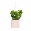 Pret A Pousser Nano Garden Quartz Pink With 1 Basil Pod