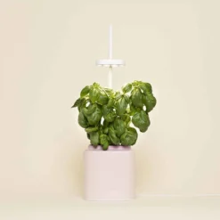 Pret A Pousser Nano Garden Quartz Pink With 1 Basil Pod -Garden Tools Shop 299380 4