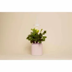 Pret A Pousser Nano Garden Quartz Pink With 1 Basil Pod -Garden Tools Shop 299380 5
