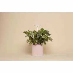 Pret A Pousser Nano Garden Quartz Pink With 1 Basil Pod -Garden Tools Shop 299380 6