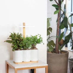 Pret A Pousser Lilo Connect Garden With Basil Lemon Basil Chives Pods -Garden Tools Shop 299381 3