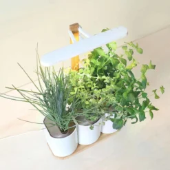 Pret A Pousser Lilo Connect Garden With Basil Lemon Basil Chives Pods -Garden Tools Shop 299381 6