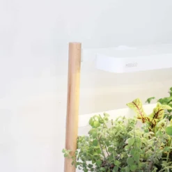 Pret A Pousser Modulo Wall-mounted Garden With Basil Lemon, Basil Chives, Leaf Mustard Pods -Garden Tools Shop 299382 5