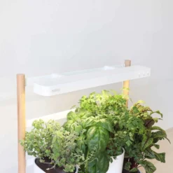 Pret A Pousser Modulo Wall-mounted Garden With Basil Lemon, Basil Chives, Leaf Mustard Pods -Garden Tools Shop 299382 6