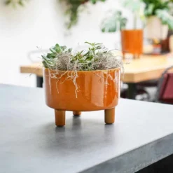 Ivyline Pisa Mustard Bowl - H14Cm X D19Cm