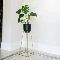 Ivyline Minimo Plant Stand In Gold - H60Cm D26Cm