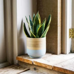 Ivyline Bamboo Grey Planter - D23Cm