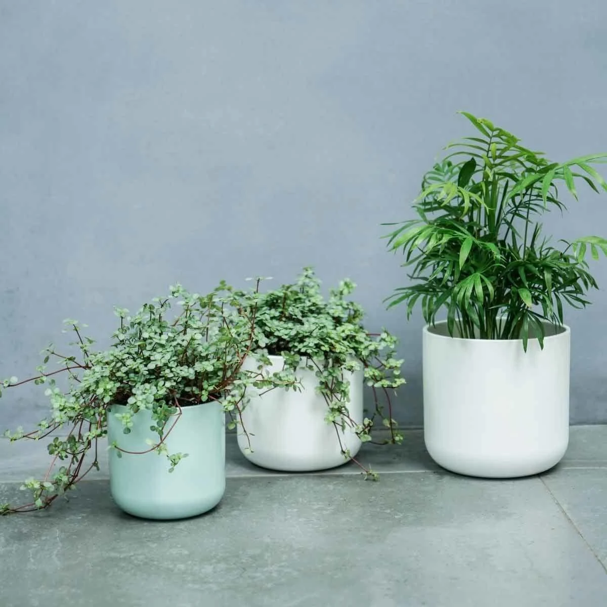 Ivyline Lisbon Planter Mint Green - H26Cm D26Cm 1 Ivyline Lisbon Planter Mint Green - H26Cm D26Cm
