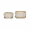 Ivyline White Round Bonsai Planter Set Of 2