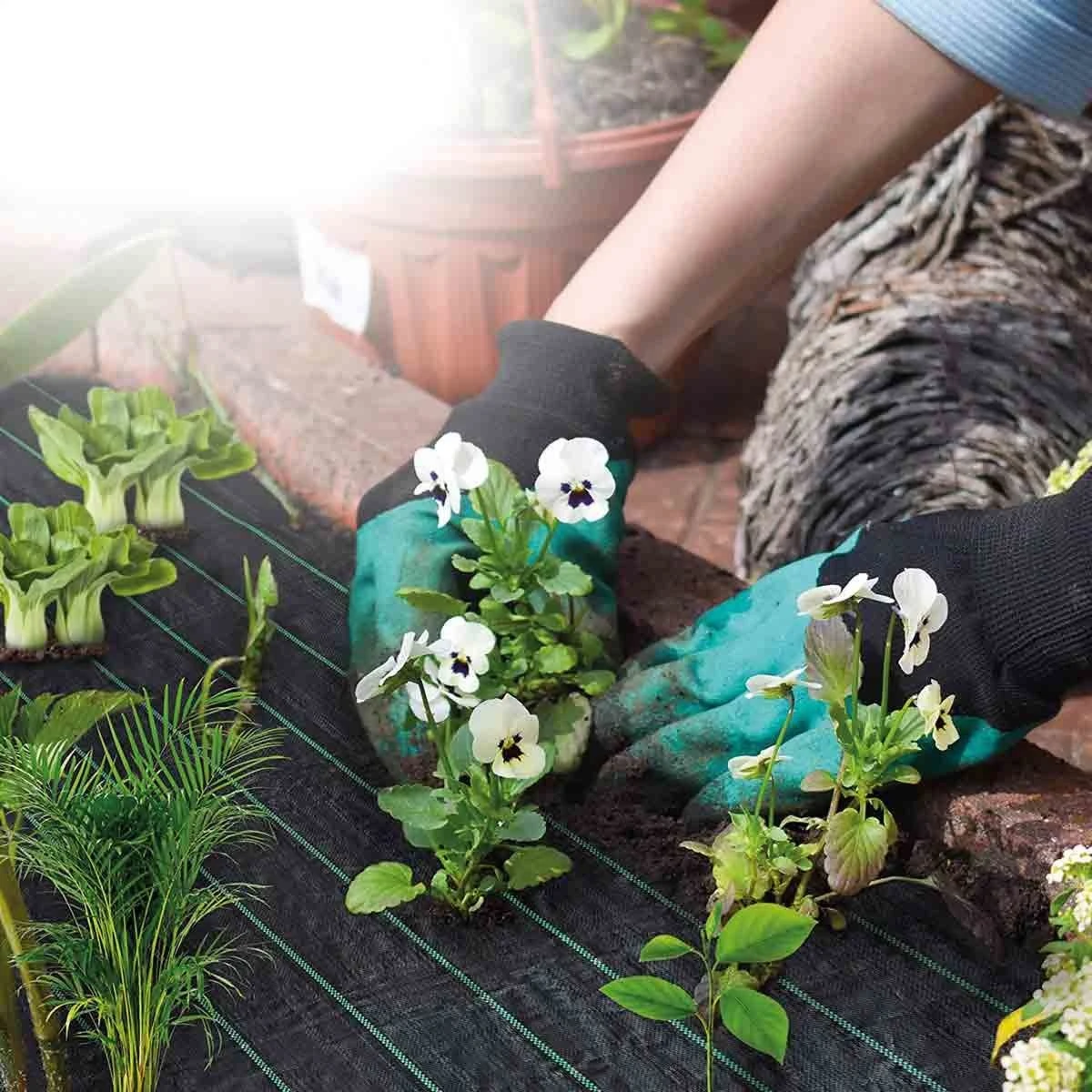 St Helens Weed Fabric - 1X25M 2 St Helens Weed Fabric - 1X25M - Image 2