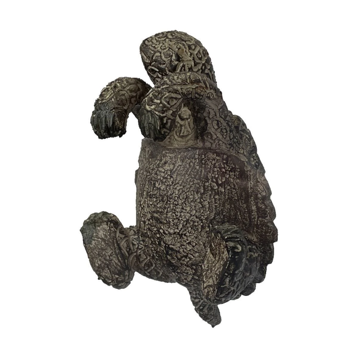 Teddy Tortoise Pot Hanger Natural (Pack Of 2) 1 Teddy Tortoise Pot Hanger Natural (Pack Of 2)