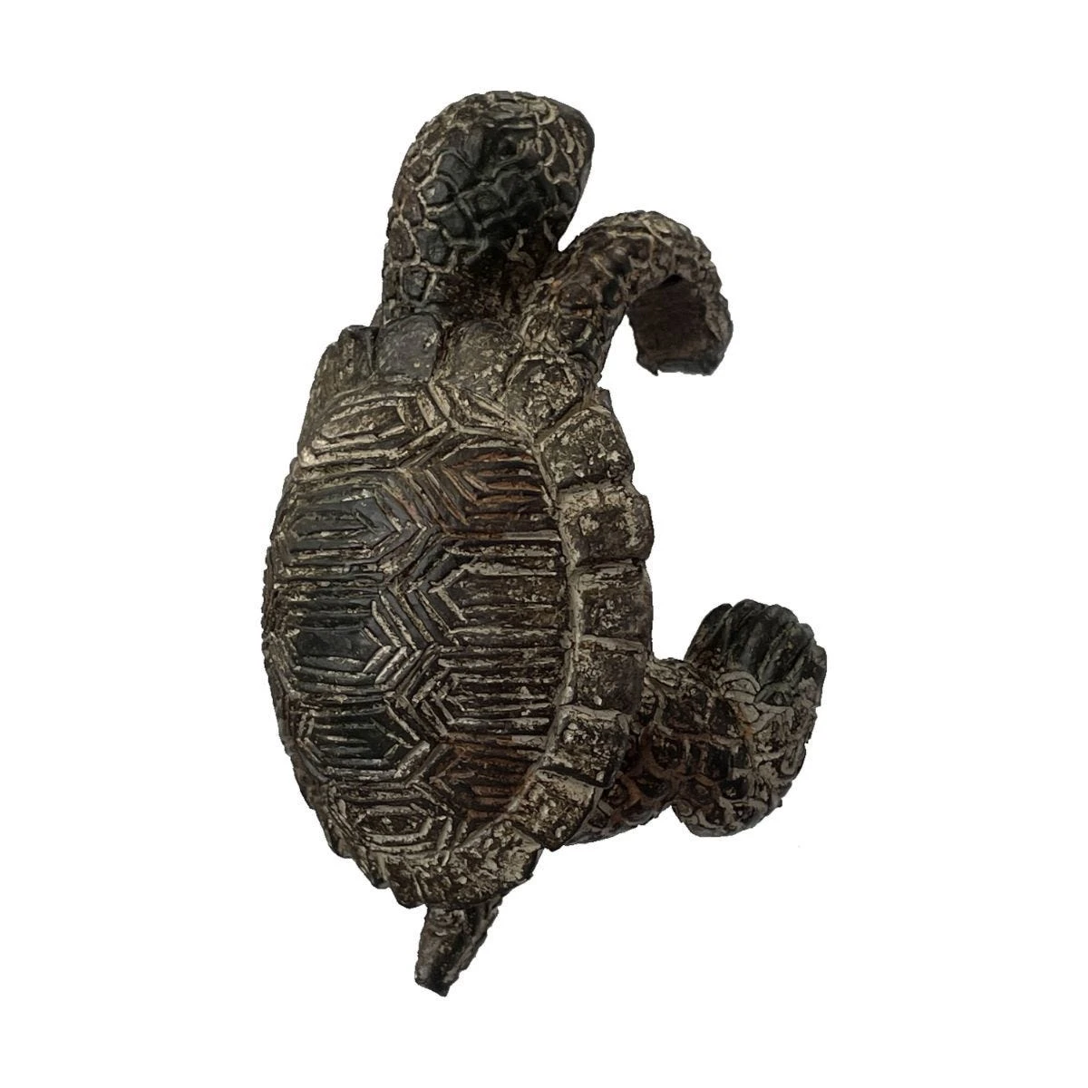 Teddy Tortoise Pot Hanger Natural (Pack Of 2) 2 Teddy Tortoise Pot Hanger Natural (Pack Of 2) - Image 2