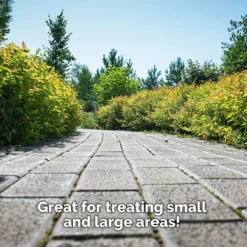 Pro-kleen 8L Garden Pressure Pump Sprayer With Brass Lance And 2 X Spare Seal Kits - Green -Garden Tools Shop 344667 8