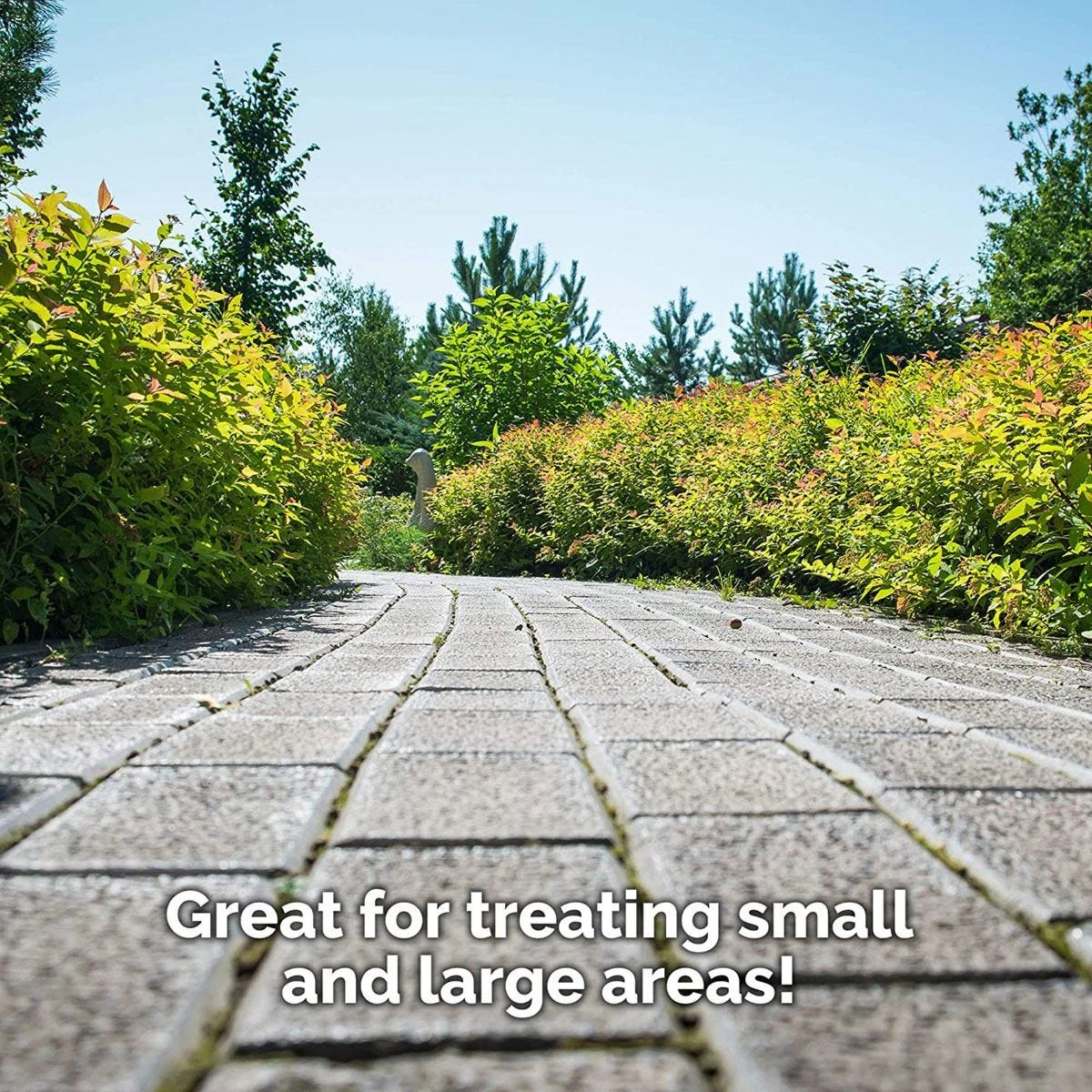 Pro-kleen 10L Garden Pressure Pump Sprayer With Brass Lance And 2 X Spare Seal Kits - Green 8 Pro-kleen 10L Garden Pressure Pump Sprayer With Brass Lance And 2 X Spare Seal Kits - Green - Image 8