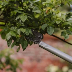 Kent & Stowe 1.3M Long Reach Bypass Pruner For Gardening -Garden Tools Shop 347447 4