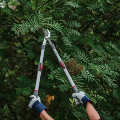 Kent & Stowe Tele Handle Telescopic Bypass Lopper Pruner Cutter 65Cm-90Cm -Garden Tools Shop 347459 6