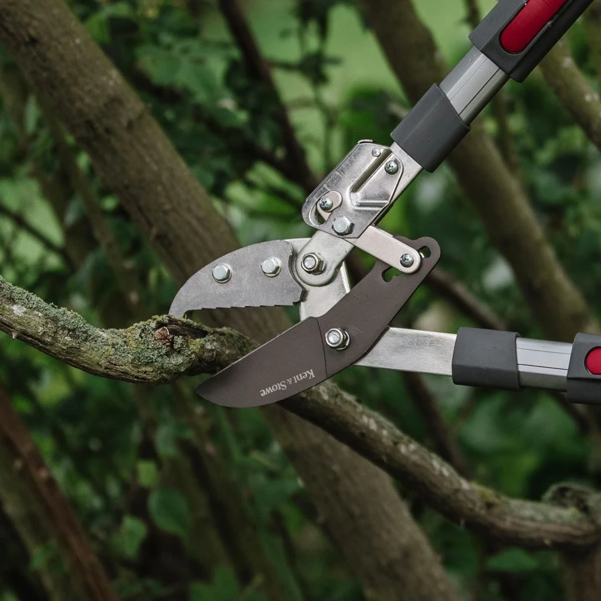Kent & Stowe Tele Ratchet Telescopic Anvil Lopper Pruner 6 Positions 65Cm-94Cm 3 Kent & Stowe Tele Ratchet Telescopic Anvil Lopper Pruner 6 Positions 65Cm-94Cm - Image 3