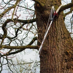 Kent & Stowe Telescopic Tree Lopper Bypass Pruner Cutter 4 Gears 3M -Garden Tools Shop 347461 5