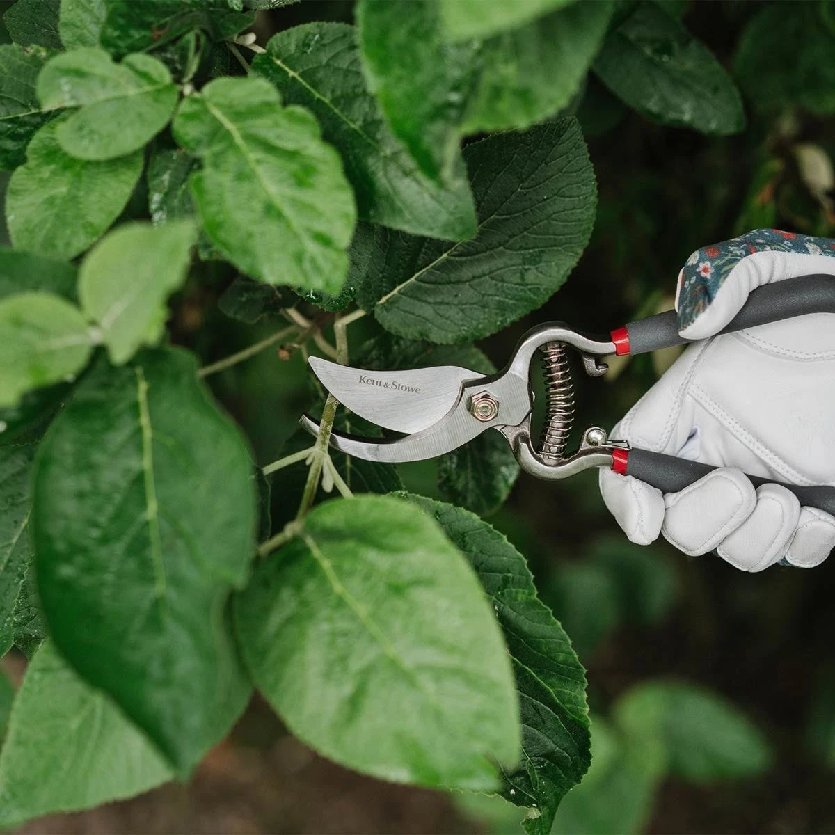 Kent & Stowe Traditional Bypass Secateurs Pruners Carbon Steel Drop Forged 4 Kent & Stowe Traditional Bypass Secateurs Pruners Carbon Steel Drop Forged - Image 4