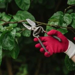 Kent & Stowe Traditional Bypass Secateurs Pruners Carbon Steel Drop Forged 12 Kent & Stowe Traditional Bypass Secateurs Pruners Carbon Steel Drop Forged -Garden Tools Shop 347463 6