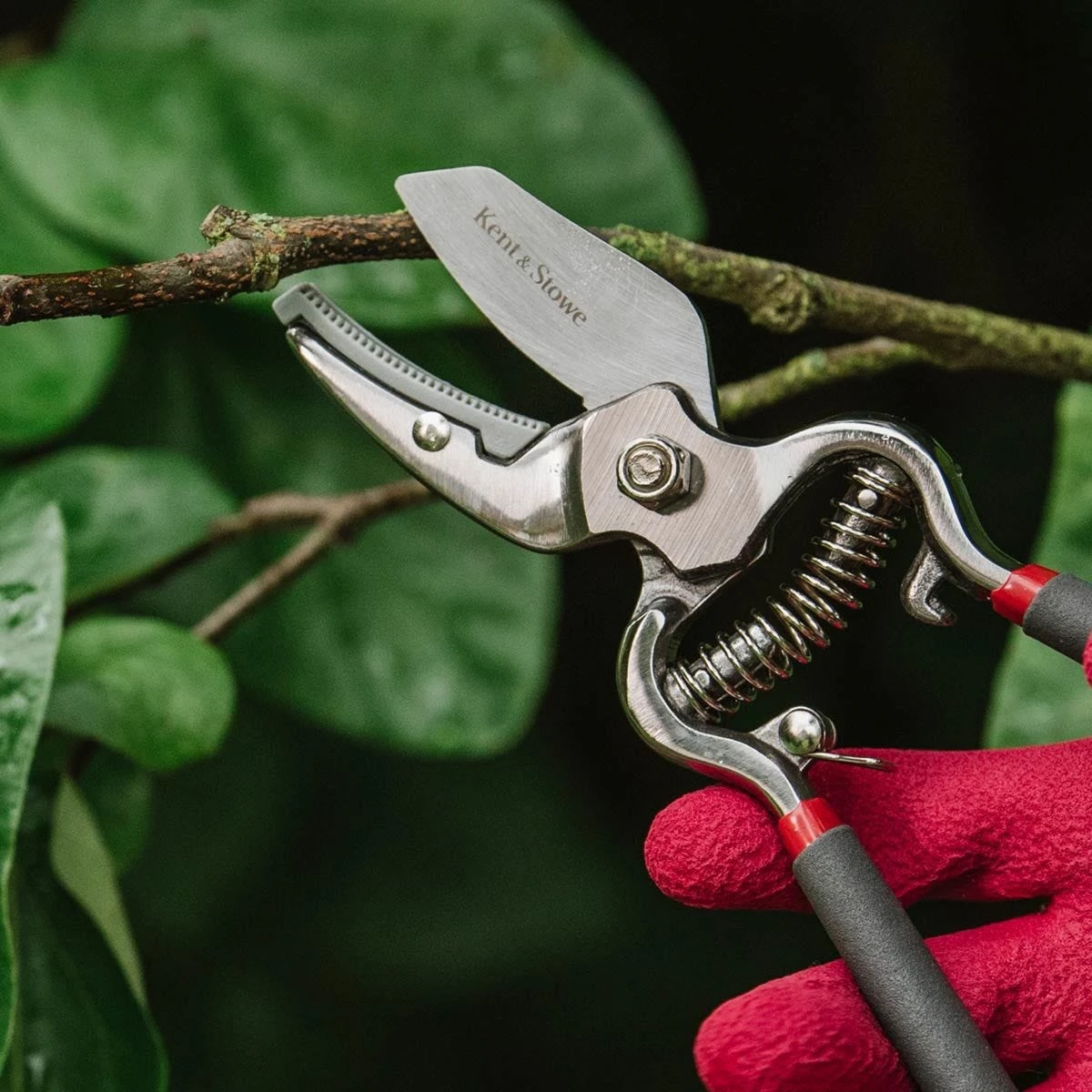 Kent & Stowe Traditional Bypass Secateurs Pruners Carbon Steel Drop Forged 7 Kent & Stowe Traditional Bypass Secateurs Pruners Carbon Steel Drop Forged - Image 7